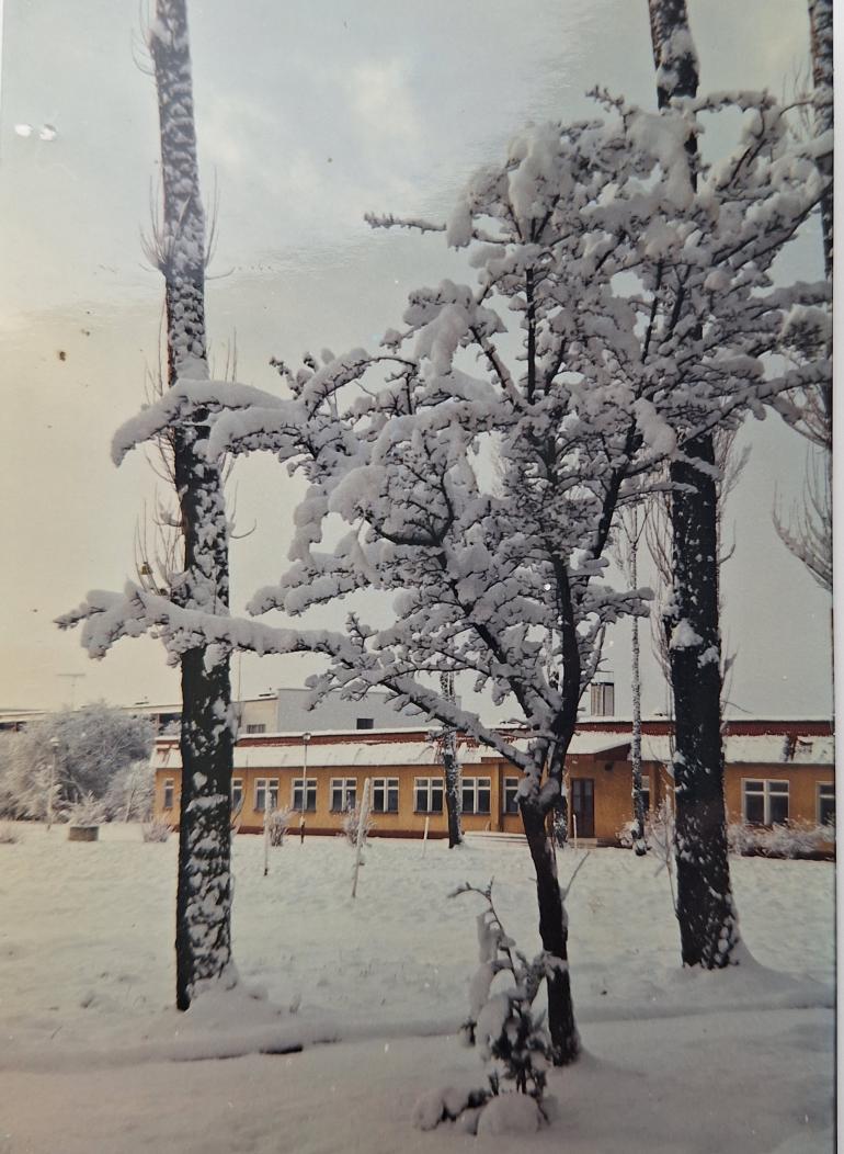 Pawilon C zimą (fot. kierownik R. Urbanowicz)